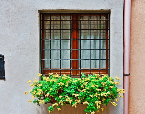 Windows planter minimalis untuk tampak depan rumah - Shutterstock